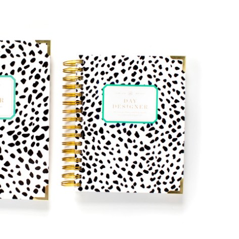 Spotty_Dots-Mini_large