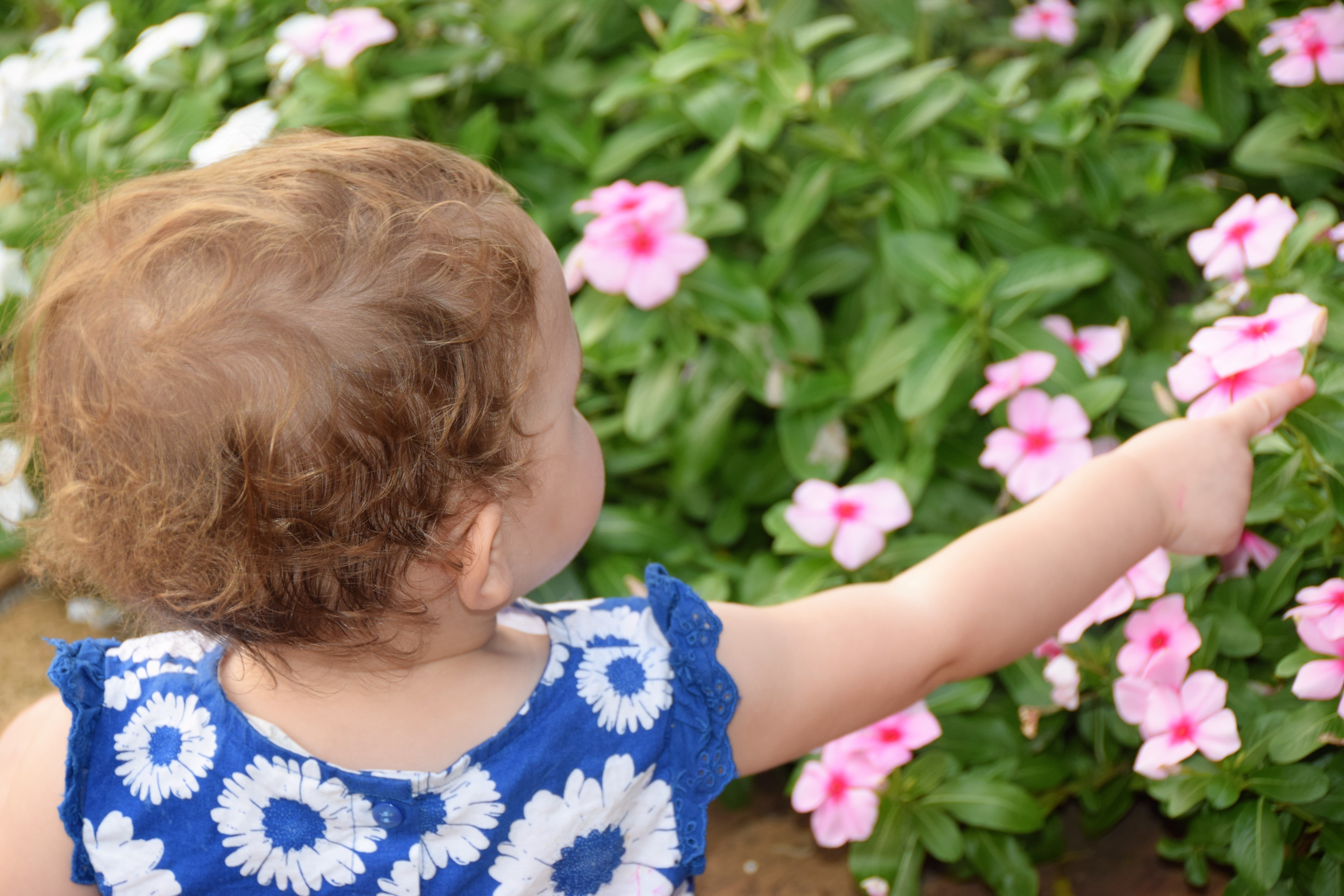 Zoey_Negishi Park_Sept 2017_3