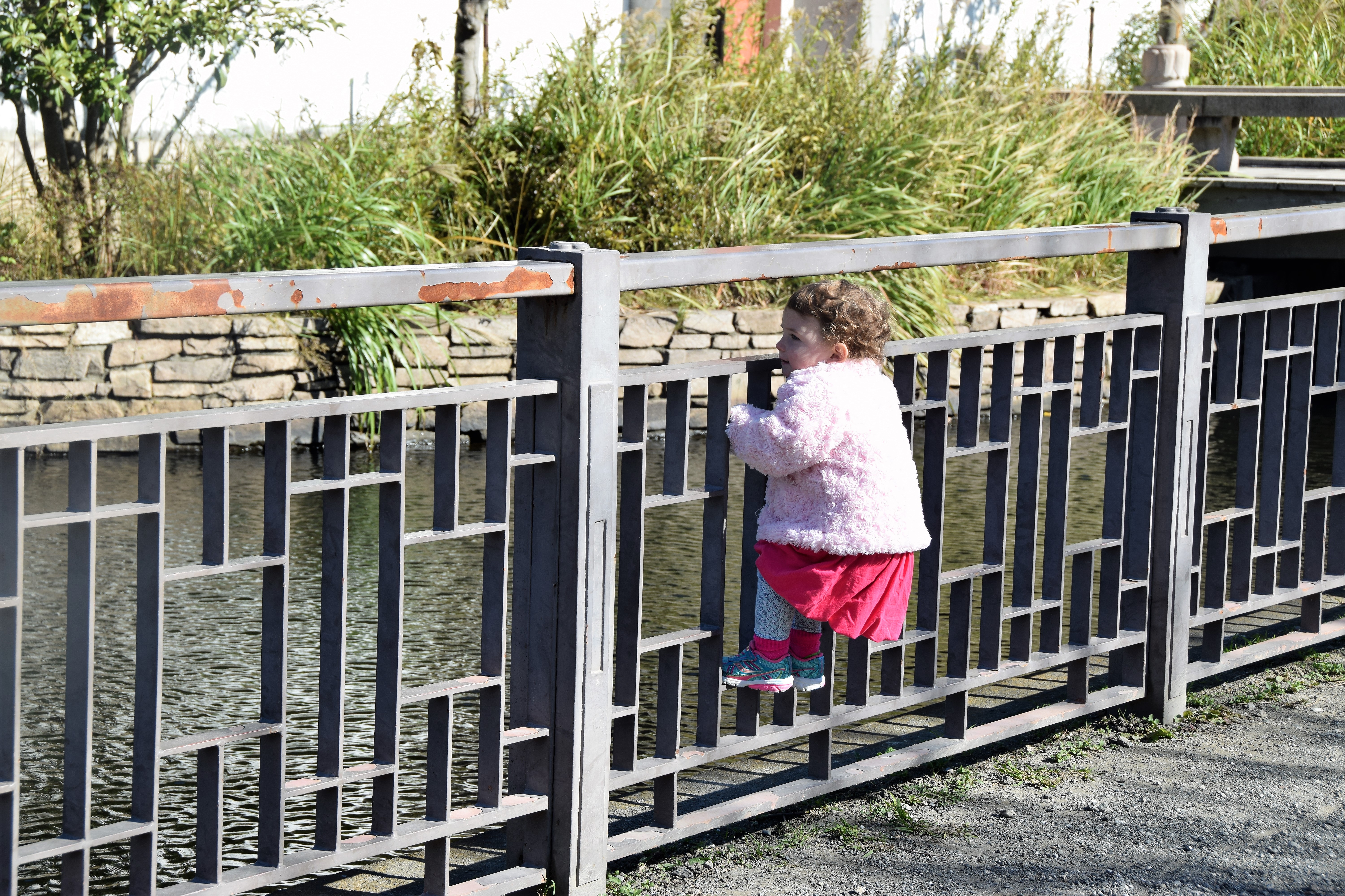 Zoey_Snapshot in time_Nov 2017